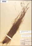 000021829-thumbnail.jpg