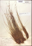 000021830-thumbnail.jpg