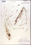000021831-thumbnail.jpg