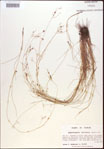 000021832-thumbnail.jpg