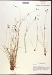 000021833-thumbnail.jpg