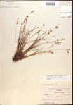 000021834-thumbnail.jpg