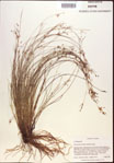 000021835-thumbnail.jpg