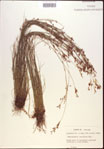 000021836-thumbnail.jpg