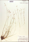 000021837-thumbnail.jpg