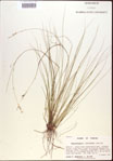 000021838-thumbnail.jpg