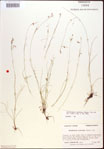 000021839-thumbnail.jpg