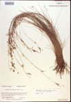 000021840-thumbnail.jpg