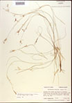 000021841-thumbnail.jpg