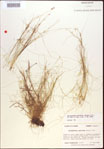 000021842-thumbnail.jpg
