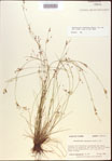 000021843-thumbnail.jpg