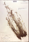 000021844-thumbnail.jpg