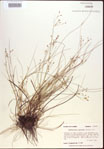 000021845-thumbnail.jpg