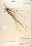 000021847-thumbnail.jpg