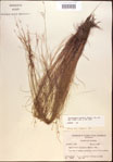 000021848-thumbnail.jpg