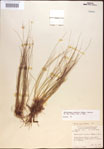 000021849-thumbnail.jpg