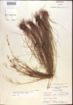 000021850-thumbnail.jpg