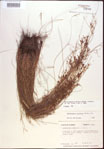 000021851-thumbnail.jpg