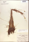000021852-thumbnail.jpg