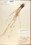 000021853-thumbnail.jpg