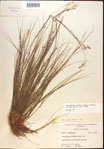 000021854-thumbnail.jpg
