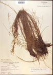 000021855-thumbnail.jpg