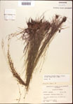 000021856-thumbnail.jpg