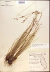 000021857-thumbnail.jpg
