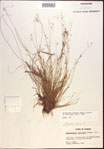 000021858-thumbnail.jpg
