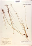 000021859-thumbnail.jpg