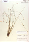 000021860-thumbnail.jpg