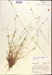 000021861-thumbnail.jpg