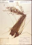 000021862-thumbnail.jpg