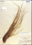 000021863-thumbnail.jpg