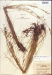 000021864-thumbnail.jpg