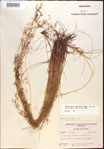 000021865-thumbnail.jpg