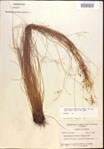 000021866-thumbnail.jpg