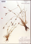 000021897-thumbnail.jpg