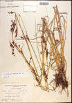 000021898-thumbnail.jpg
