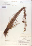 000021899-thumbnail.jpg