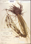 000021900-thumbnail.jpg