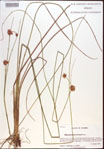 000021905-thumbnail.jpg