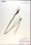 000021906-thumbnail.jpg