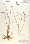 000021908-thumbnail.jpg