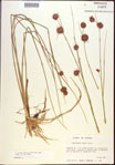 000021910-thumbnail.jpg