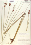 000021911-thumbnail.jpg