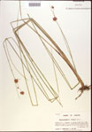 000021912-thumbnail.jpg