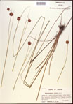 000021913-thumbnail.jpg
