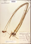 000021917-thumbnail.jpg