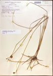 000021918-thumbnail.jpg
